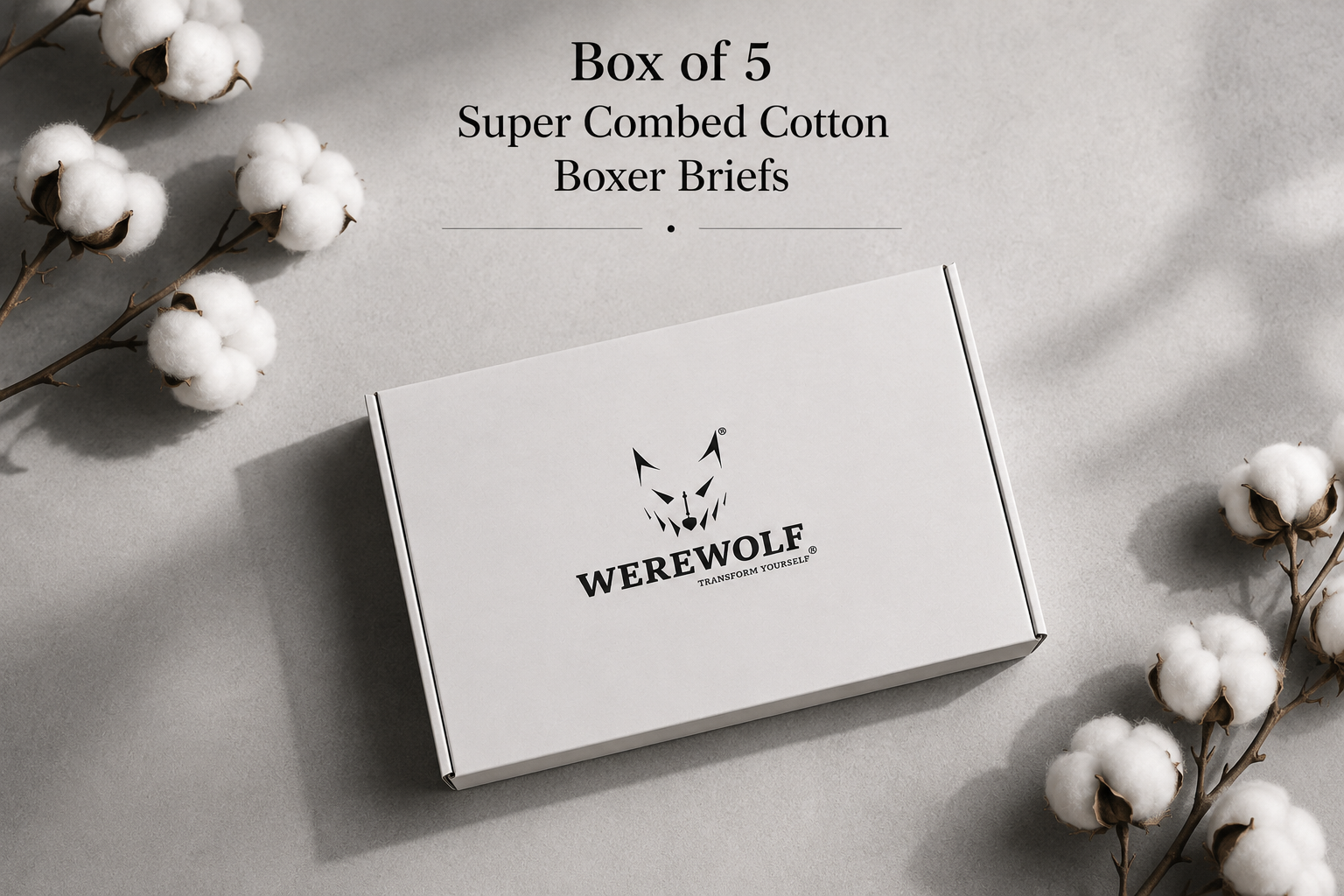Box of 5 (Super Combed Cotton)